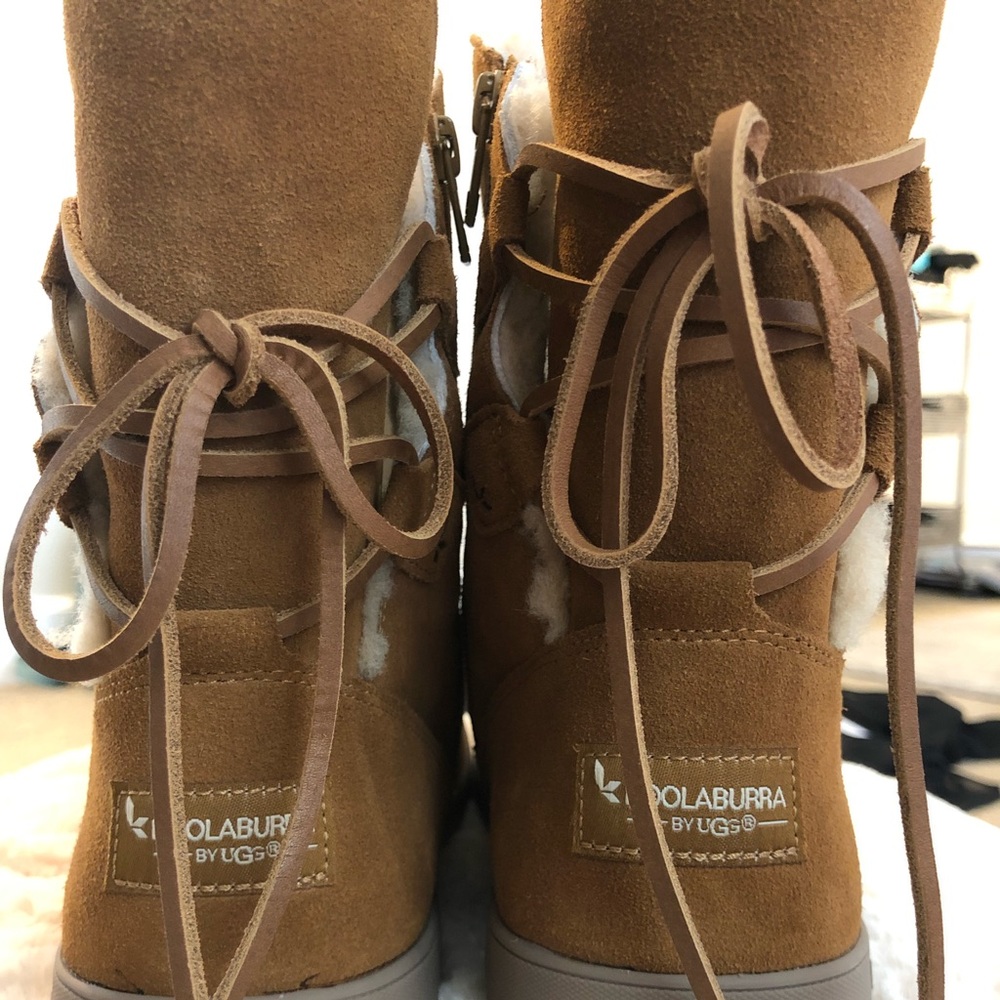 Brand New brown Uggs